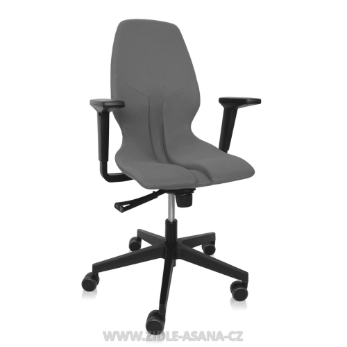 Ergonomická židle Ásana Spektra Textil, Graphite